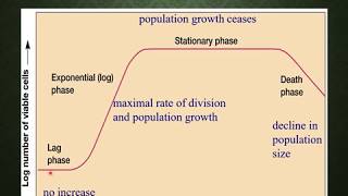 MICROBIAL GROWTH GROWTH CURVE AND CONTINUOUS CULTURE MALAYALAM [upl. by Eberto760]