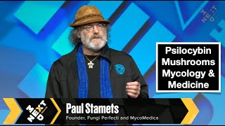 Paul Stamets on the Future of Psychedelics Mycology amp Medicine  NextMed Health [upl. by Sadinoel460]