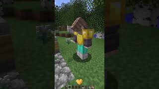 Types of Pranks in Minecraft [upl. by Ardnasella590]