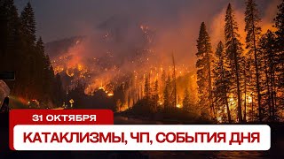 Катаклизмы сегодня 31102024 Новости сегодня ЧП катаклизмы за день события дня [upl. by Katti794]