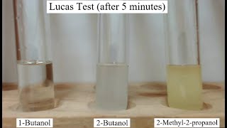 Lucas Test for Alcohols [upl. by Notffilc]