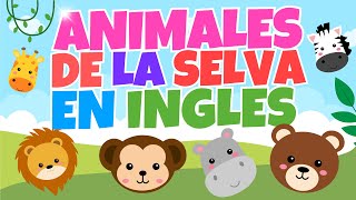 🦁 🐯✨Los Animales de la Selva en Inglés para niñosfácil y Divertido ✨🐯🦁 [upl. by Ranique265]