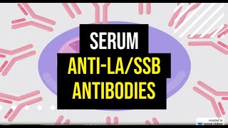 Anti La SSB Antibodies Test Explained [upl. by Karyn]