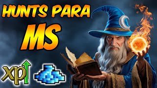 6 HUNTS PARA MS LEVEL 150 NO TIBIA  EXP E PROFIT [upl. by Howlend]