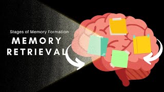 Memory Retrieval Recall Recognition Relearning Proactive amp Retroactive Retrieval Interference [upl. by Jobye478]