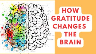 Importance of Practicing Gratitude How Gratitude Affects the Brain [upl. by Notserc]