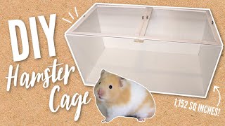 Building a NEW DIY Hamster cage [upl. by Leavelle]