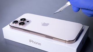 iPhone 16 Pro Max Unboxing and Camera Test  ASMR [upl. by Ynaffat]