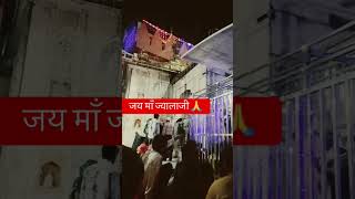 जय माँ ज्वलाजी 🙏 ytshorts jaimatadi viralreels trending chjwalajitemple [upl. by Ymarej441]