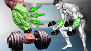 Build Forearms Fastest using Dumbbell Only 5 Effective Exercise [upl. by Atnaloj340]