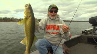 Rapala® Scatter Rap® Minnow [upl. by Ibib]