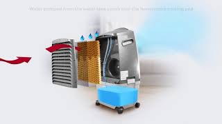 How do Evaporative Air Coolers Work [upl. by Wolliw]