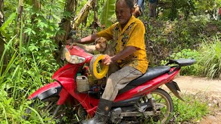 Sambal Petai Tempoyak  Guna Khidmat Beruk Panjat Pokok Petai [upl. by Riccio442]