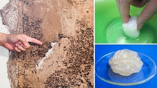 How To Kill Termites And Get Rid Of Them Forever [upl. by Ettenej]