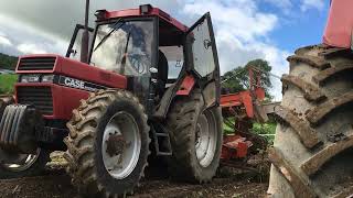 Organic potato harvest 2020 [upl. by Wall]