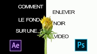 Comment supprimer le fond noir sur une vidéo avec After effects et Photoshop [upl. by Auqenet782]