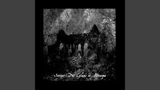 A Blaze in the Northern Sky Darkthrone [upl. by Affra]