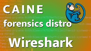 CAINE  10  Wireshark  packet analyzer [upl. by Jeddy]