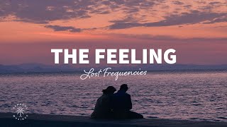 Lost Frequencies  The Feeling Lyrics [upl. by Epoh]