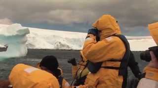 Day in the Life Falkland Islands and South Georgia Antarctica [upl. by Eimorej]