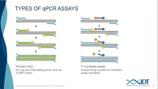 Design and optimize high multiplexing digital PCR assays with the naica® system [upl. by Jacinthe157]