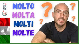 Questa lezione è MOLTO importante  Come usare MOLTO MOLTA MOLTI e MOLTE in italiano [upl. by Hadrian]