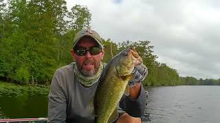 Buzzing up some bass on the Roanoke River [upl. by Hewitt717]