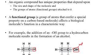 Chapter 1 Chemistry Part 2 Macromolecules [upl. by Noelle]