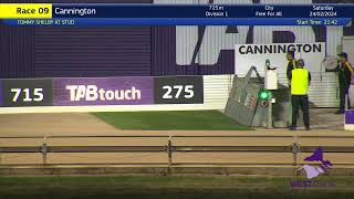 Cannington24022024Race9 [upl. by Annasiul978]