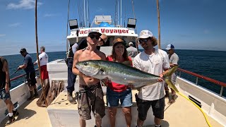 Massive yellowtail caught by my friend Jolene on our recent trip [upl. by Ariak763]