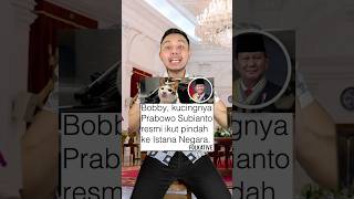 Bobby kucingnya pak Prabowo pindah ke Istana Negara Menarik nih shorts [upl. by Namzed]