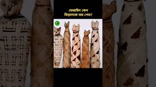 ytshorts quran oishifacts ওয়াজ trendingshorts almas youtubeshorts আলমাস shortvideo waz [upl. by Harifaz]