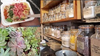 Discovering a Zero Waste Paradise  Vlog 13 [upl. by Marcello]