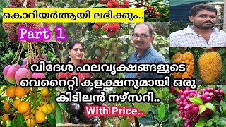 Exotic Fruit Plants ന്റെ നല്ല ക്വാളിറ്റിയുള്ള തൈകൾ ലഭിക്കുന്ന അടിപൊളി നഴ്സറി Part 1 വിലയും അറിയാം [upl. by Suilenroc]