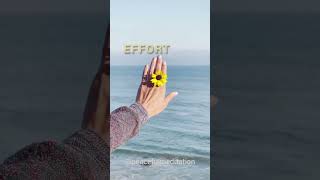 John Wooden on Effort and Excellence A Recipe for Success  PeacefulMeditation youtubeshorts [upl. by Nomit302]