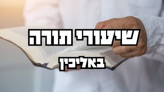 הרב אהוד תוהמי  מסכת מכות דף טו מוצשquotק פרשת נח [upl. by Nnyleimaj]