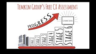 Stages Of Customer Experience CX Maturity [upl. by Lamek]