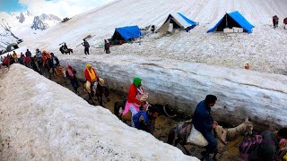 amarnath yatra 2024 latest update  amarnath yatra update today  amarnath yatra 2024 update [upl. by Lehpar]