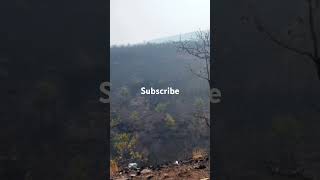 Srisailam ghat road [upl. by Herates749]