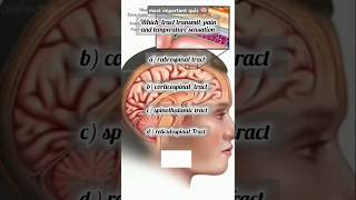 most important quiz 😊🤩 part 3 neuroanatomy shortsviral [upl. by Laniger]