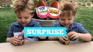 Twins FIRST SURPRISE Eggs 😱 WOW Toys [upl. by Eugnimod553]