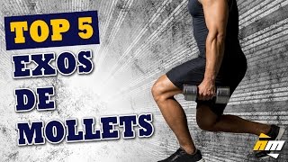 Top 5 des exercices de mollets  Muscler les mollets par All musculation [upl. by Assela]