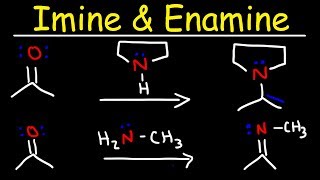 Imine and Enamine Formation Reactions With Reductive Amination [upl. by Kreiner538]