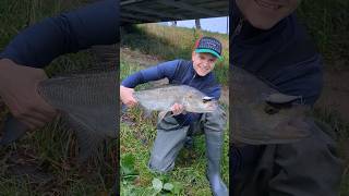 70 Torpedo im Herbst 🔥 Mit der Baitcast und kleinen Crankbaits auf dicke und aggressive Rapfen 😍 [upl. by Neidhardt]