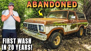 Cleaning an ABANDONED Ford Bronco Full of Moss and Spider Nests [upl. by Bruno]