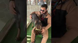 BİR KÖPEK SAHİBİNİ NE ZAMAN UNUTUR ⁉️ eyüpdoğan belçikakurdu belgianmalinois hayvanlar eydog [upl. by Nolrev]