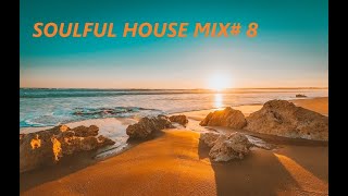 SOULFUL HOUSE MIX 8 [upl. by Anelrats]