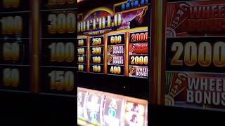 HE LEFT 4 MF WHEELS ON BUFFALO gamble slot casino buffalo buffaloinstahit ap [upl. by Vito]