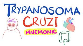 Trypanosoma Cruzi Mnemonic  Chagas Disease [upl. by Tutankhamen]