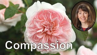 Self Compassion Guided Meditation for Relaxation 15 Minutes [upl. by Imailiv]